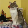 Отзыв от Лилия Фомина